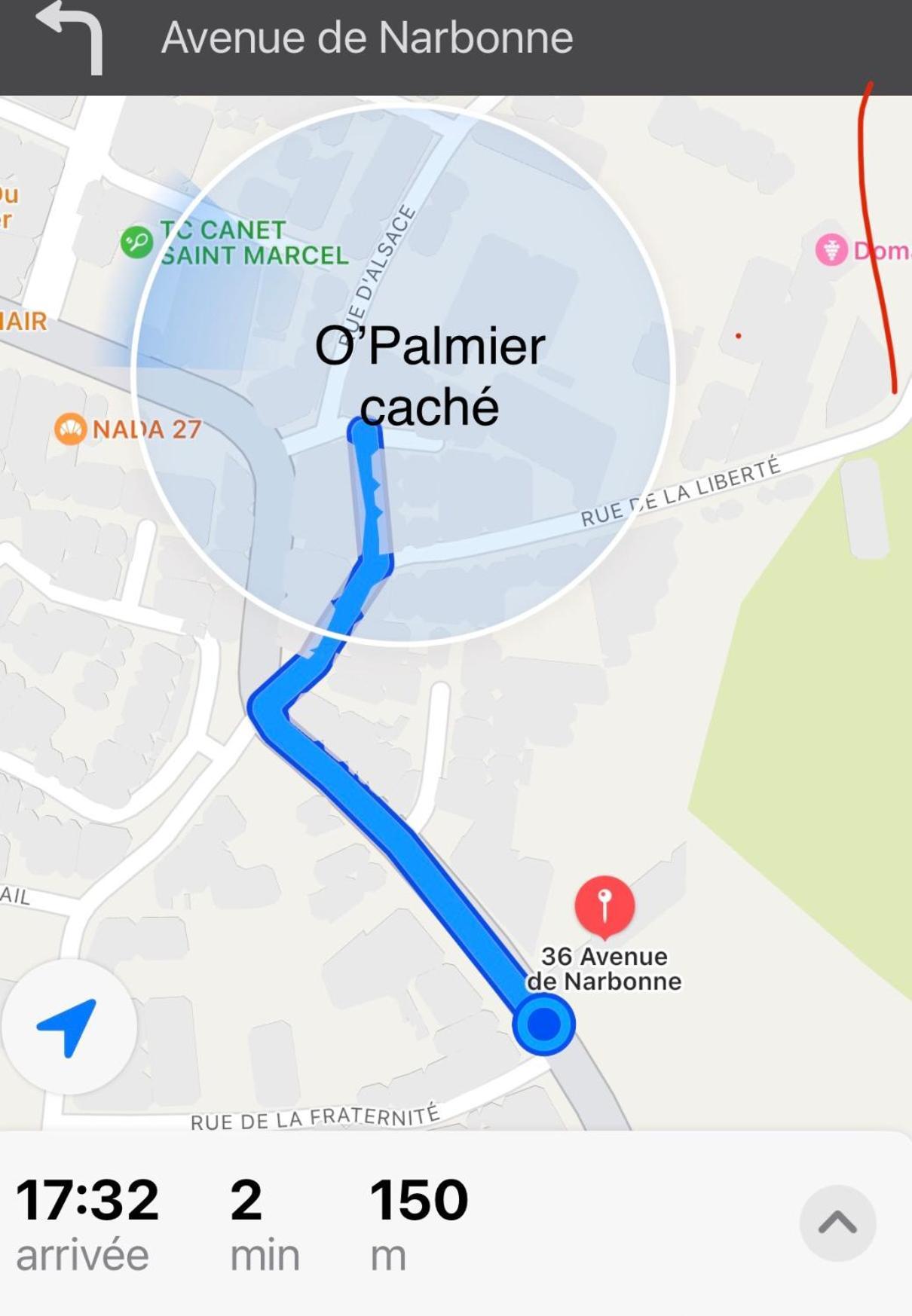 O'Palmier Cache Bed & Breakfast Saint-Marcel-sur-Aude Eksteriør bilde