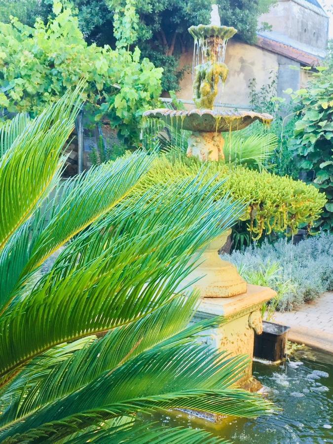 O'Palmier Cache Bed & Breakfast Saint-Marcel-sur-Aude Eksteriør bilde